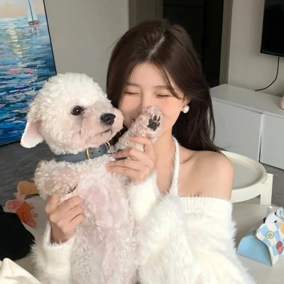 好女孩的谋杀调查指南
